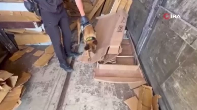 Malatya’da uyuşturucu operasyonu: 10 tutuklama