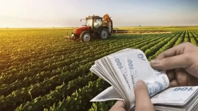 Çiftçilere destek ödemesi bugün yapılacak