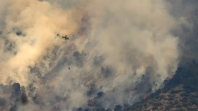 Orman yangınında 2 bin 377 hektarlık alan kül oldu