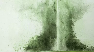 Evdeki rutubet ve küf kokularına doğal çözüm