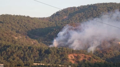 Bolu'daki orman yangınına havadan ve karadan müdahale sürüyor