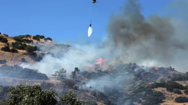 Aydın'da zeytinlik alanda yangın çıktı