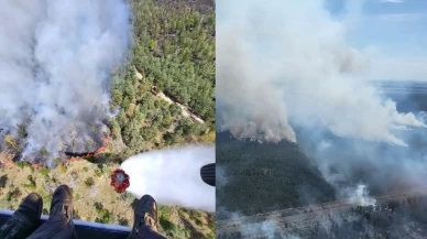 Almanya'nın üç eyaletindeki orman yangınlarıyla mücadele devam ediyor