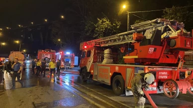 Beykoz’da ağaçlık alanda çıkan yangın söndürüldü