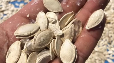 Günlük 1 avuçla gelen mucize! Kabak çekirdeği ile sağlığınızı güçlendirin