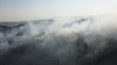 Çankırı'da orman yangını