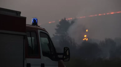 Bulgaristan'ın Sofya yakınlarında çıkan orman yangınına müdahale ediliyor