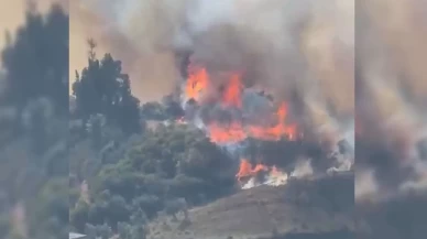 Karamürsel'de orman yangını başladı