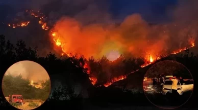 Sakarya ve Bilecik’te orman yangını! Kritik 12 saat başladı!