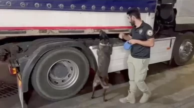 Iğdır'da uyuşturucu operasyonu: Çuvalların içinden uyuşturucu çıktı