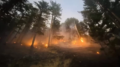 3 noktada orman yangınlarına müdahale sürüyor