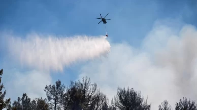 Bakan Tunç: Orman yangınlarıyla ilgili 13 kişi tutuklandı