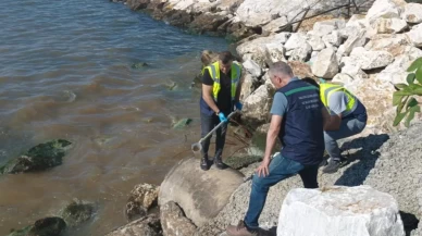 Yalova Belediyesi’ne atık su cezası! Denize deşarja 1.3 milyon lira yaptırım