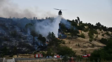 Kuzey Makedonya'da orman yangınları nedeniyle "kriz durumu" ilan edildi