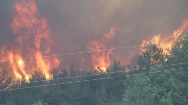 Yangınlarla mücadelede 4. gün! Yangın nedeniyle Mersin'de tahliyeler başladı!
