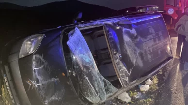 Domuz sürüsüne çarpmamak isterken araç şarampole devrildi