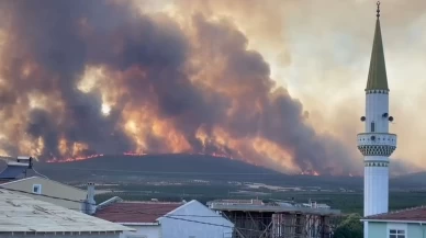 Tekirdağ'daki orman yangını tarım arazilerine sıçradı