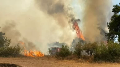 Çanakkale'deki orman yangını kontrol altına alındı