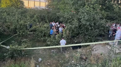 Zonguldak'ta kamyonet fındık bahçesine uçtu: Araçtan fırlayan sürücü öldü