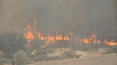 Uşak'ta çıkan orman yangını büyük ölçüde kontrol altına alındı