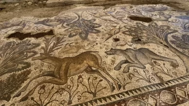 Yer altı görüntüleme radarıyla tarlada tespit edildi! 1700 yıllık!