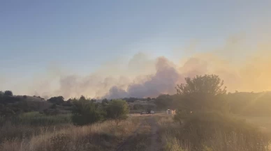 Tekirdağ'da çıkan yangında 20 dekar ağaçlık alan zarar gördü
