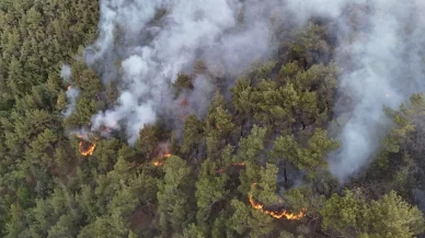 Karabük'te orman yangınına müdahale 6 saattir aralıksız sürüyor