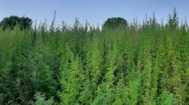 Erzurum'da dev operasyon