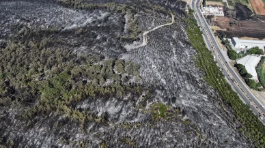 İzmir'in Buca ilçesindeki orman yangınında zarar gören alanlar havadan görüntülendi