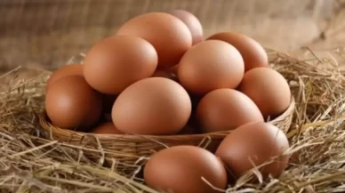 Tavuk yumurtalarının ihracatı kayda bağlandı