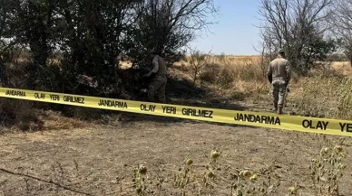 Ayçiçeği tarlasında kadın cesedi bulundu