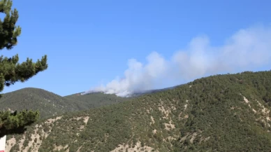 Kastamonu'da orman yangını! Alevler rüzgarla büyüdü
