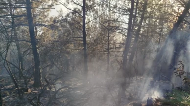 Zonguldak’ta çıkan yangında 7 dönümlük karaçam ormanı zarar gördü