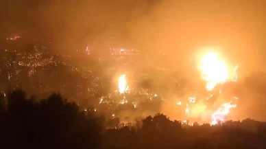 Yunanistan ormanları yanıyor