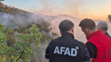 Bolu’daki orman yangını kontrol altına alındı