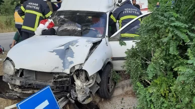 Tokat'ta hafif ticari araç ağaca çarptı: 4 yaralı