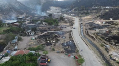 Çanakkale'de orman yangını