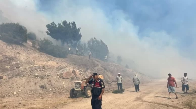 Manisa'daki orman yangını kontrol altına alındı