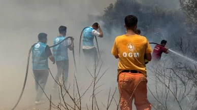 Ülkü Ocakları'ndan Yeşil Vatan seferberliği: Yangın bölgelerinde gönüllü mücadele