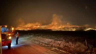 ABD'de orman yangını: 52 bin dönümden fazla alan kül oldu