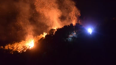 Manisa'da tarım arazisinden ormana sıçrayan yangın kontrol altına alındı