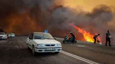 Bir orman yangını da İzmir'de!