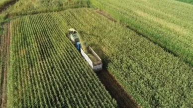 Tarım ve Orman Bakanlığından çiftçilere toplam 826 milyon lira destek