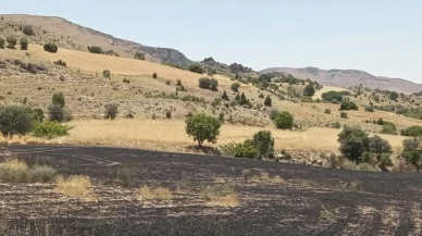 Tunceli’de 34 dönüm arpa yangında kül oldu