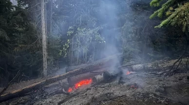Gümüşhane’deki orman yangını söndürüldü