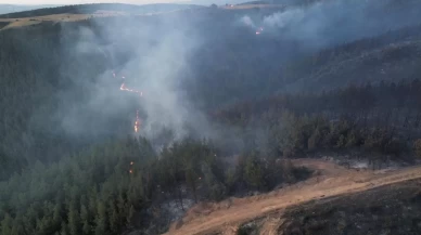 Balıkesir'de çıkan orman yangını kontrol altında