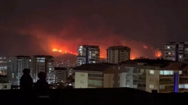 Bursa'daki orman yangını şehir merkezinden böyle görüntülendi