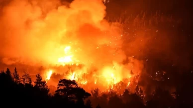 Orman yangınlarının tetikleyicisi: Atıklar