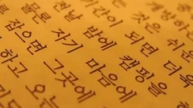 Kore Dili ve Edebiyatı Bölümü Nedir, Mezunları Ne İş Yapar ve Nerelerde Çalışır?