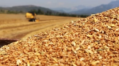 DMM, "Türkiye'nin buğdayda ithalata bağımlı hale geldiği" iddialarını yalanladı
